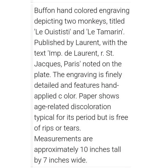 Antique Buffon Engraving Hand Colored 2 Monkeys 'Le Ouititi Le Tamarin' 10x7" - Picture 10 of 10
